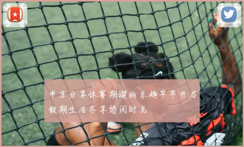 申京分享休赛期遛狗乐趣早早开启假期生活尽享悠闲时光