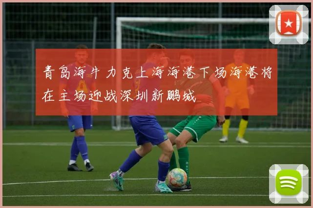 青岛海牛力克上海海港下场海港将在主场迎战深圳新鹏城